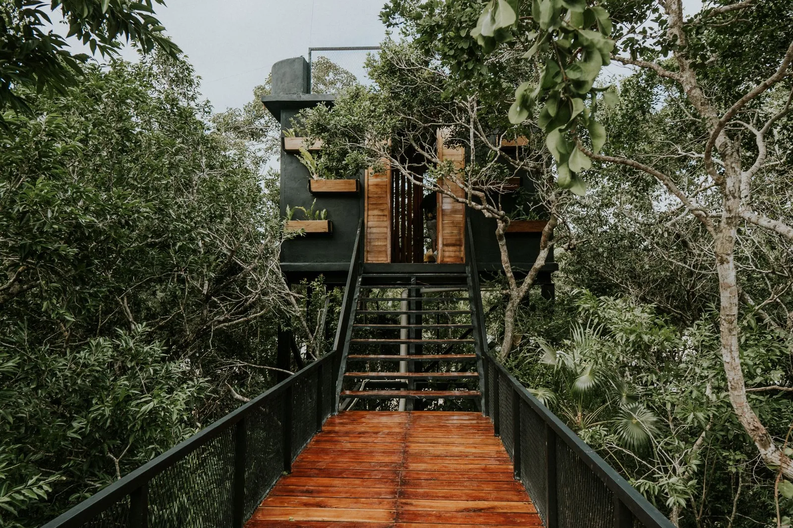 A treehouse stay surrounded by tropical jungle