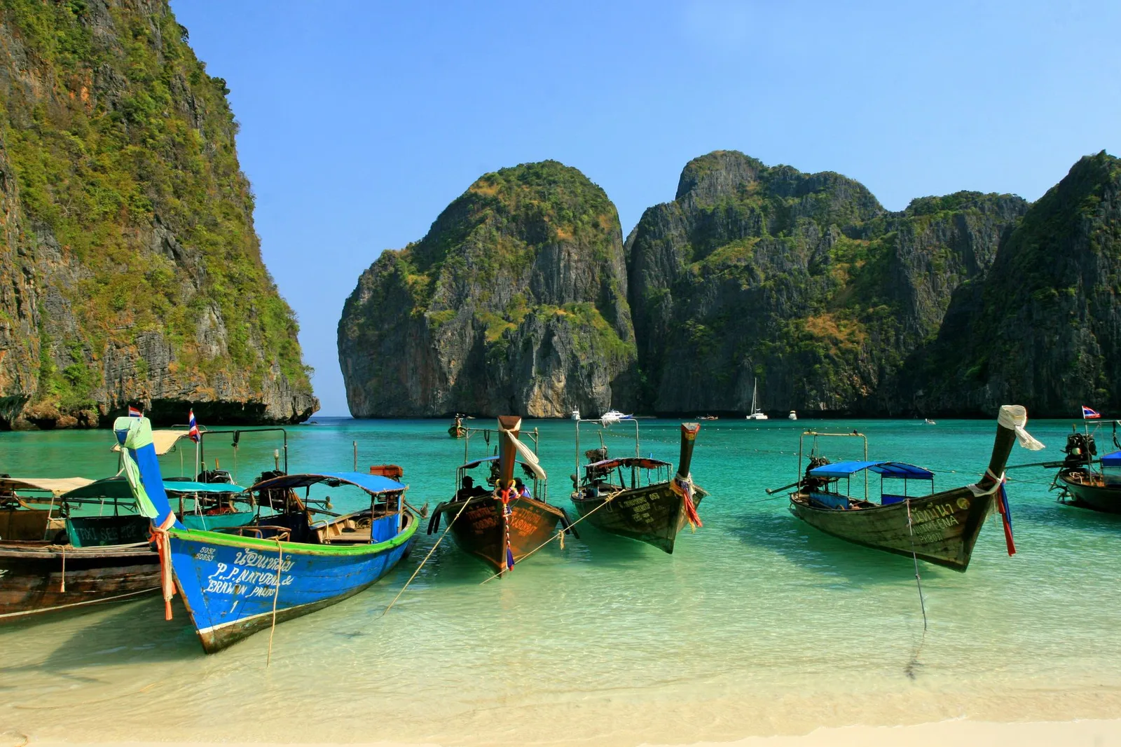 Longtail boats at Maya Bay, Phi Phi Islands